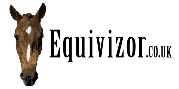 Equivizor