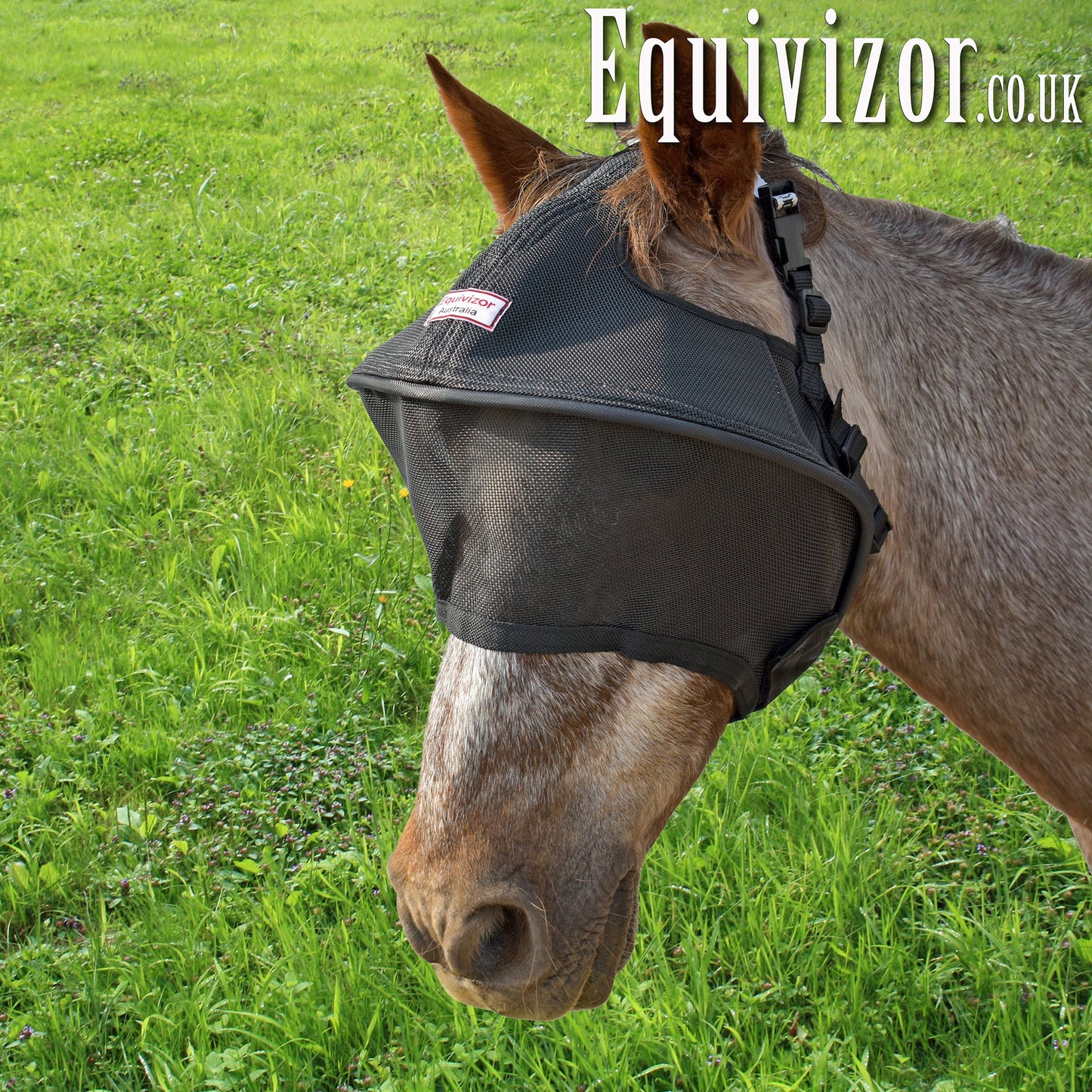 Equivizor Solar Vizor (standard) - Pony