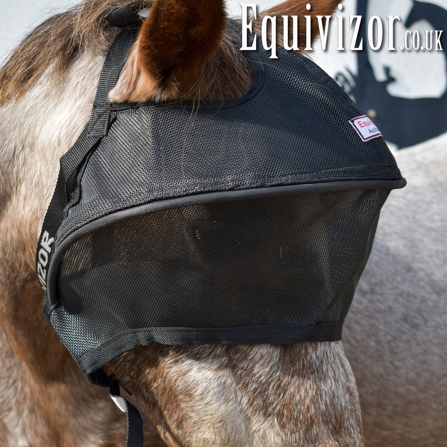 Equivizor Solar Vizor (standard) - Foal