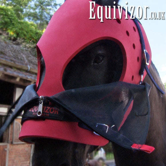 Anaesthesia Equivizor - Pony