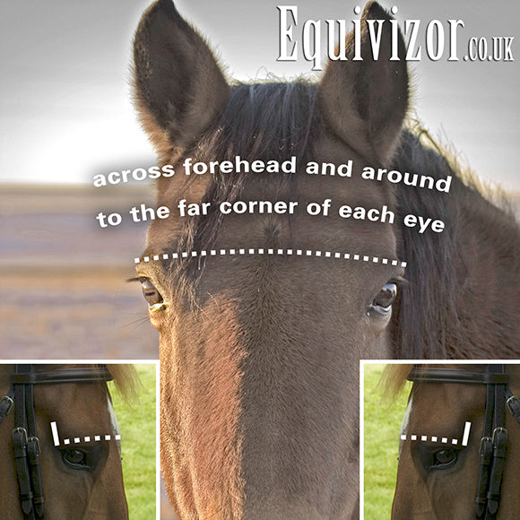 Equivizor Fly Mask (with nose flap) - Pony