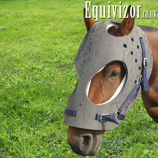 Transport Equivizor - Cob