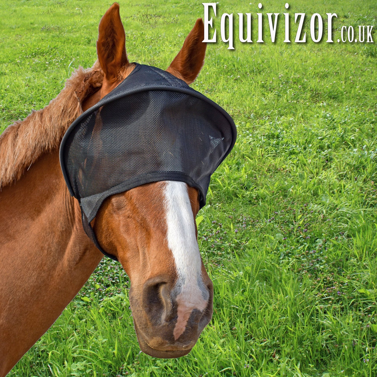 All Equivizor Solar Vizors