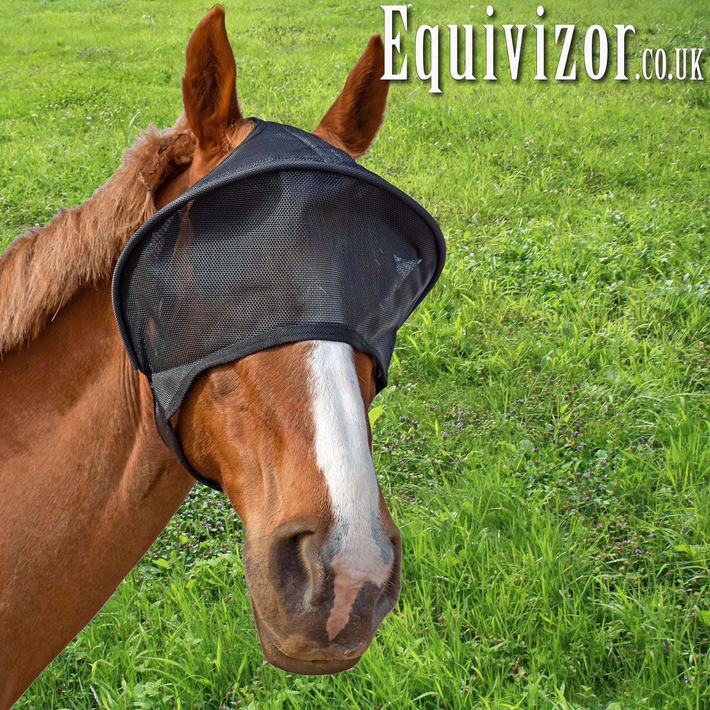 Equivizor Solar Vizor - XLarge