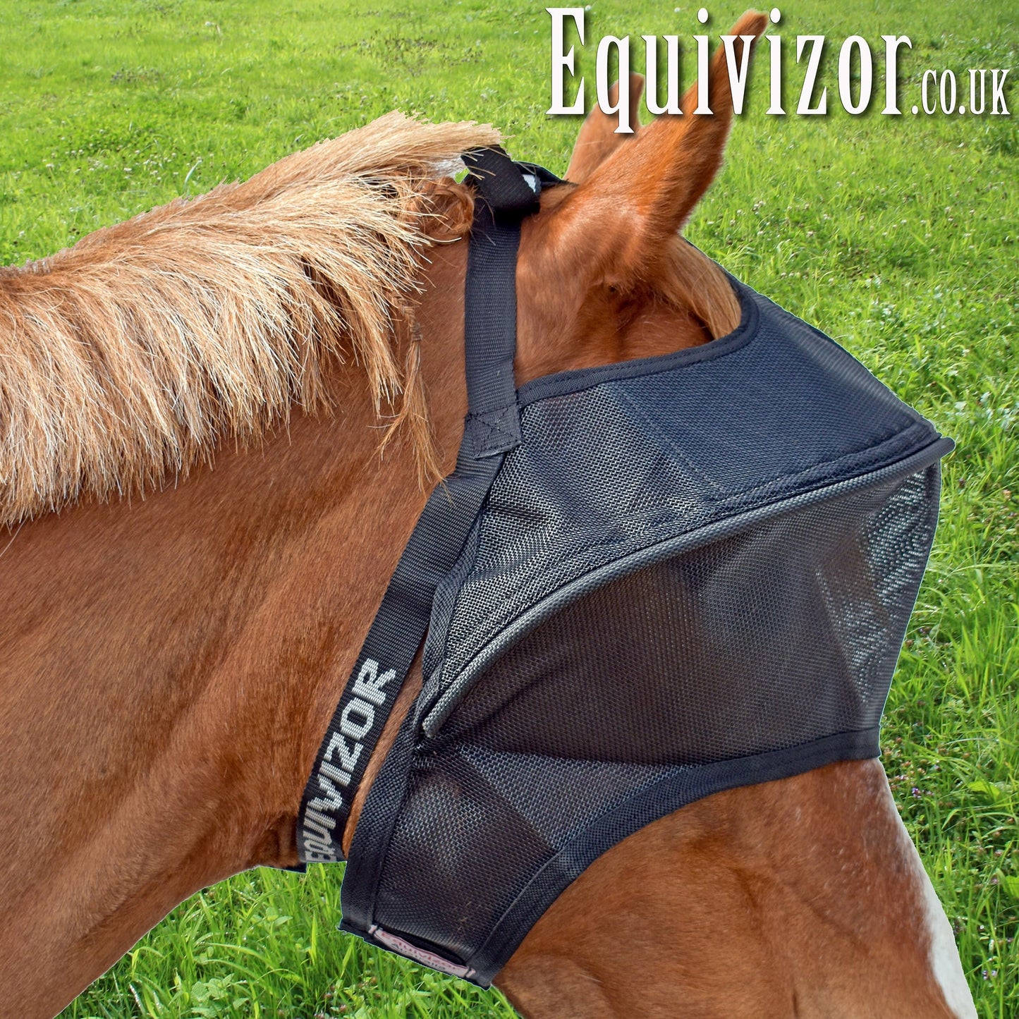 Equivizor Solar Vizor - Full