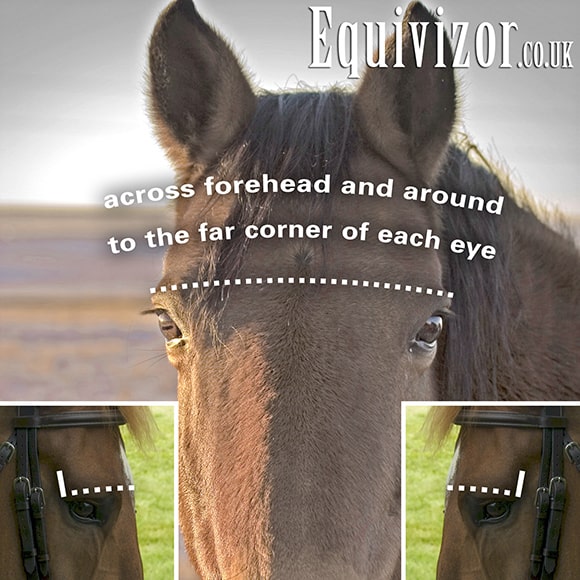 Equivizor Fly Mask (with ears) - Pony
