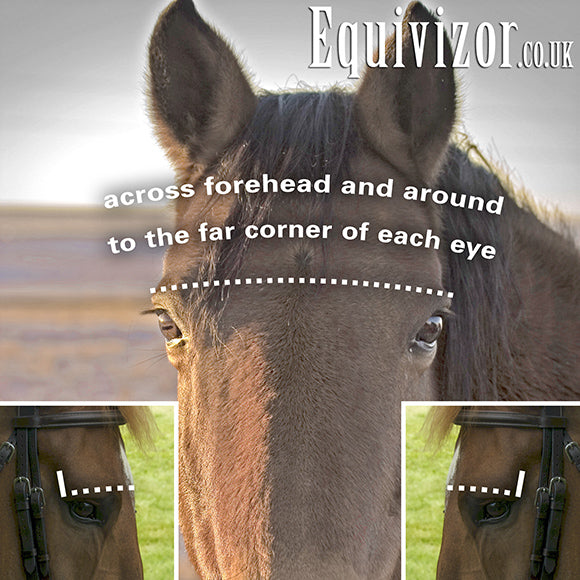 Equivizor Fly Mask (standard) - Foal