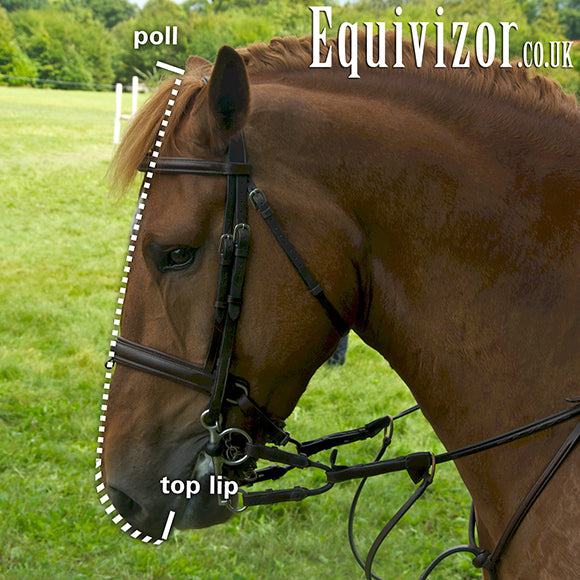 Stability Equivizor - Full