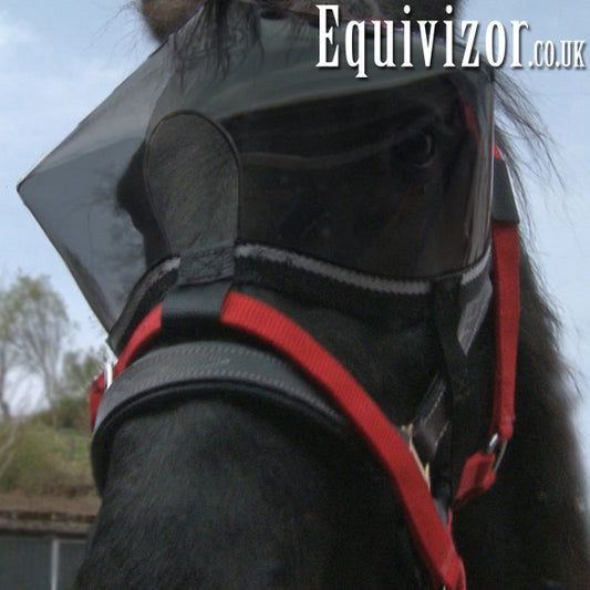 Recovery Equivizor - Dark - Pony